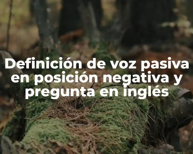 Definición de voz pasiva en posición negativa y pregunta en inglés