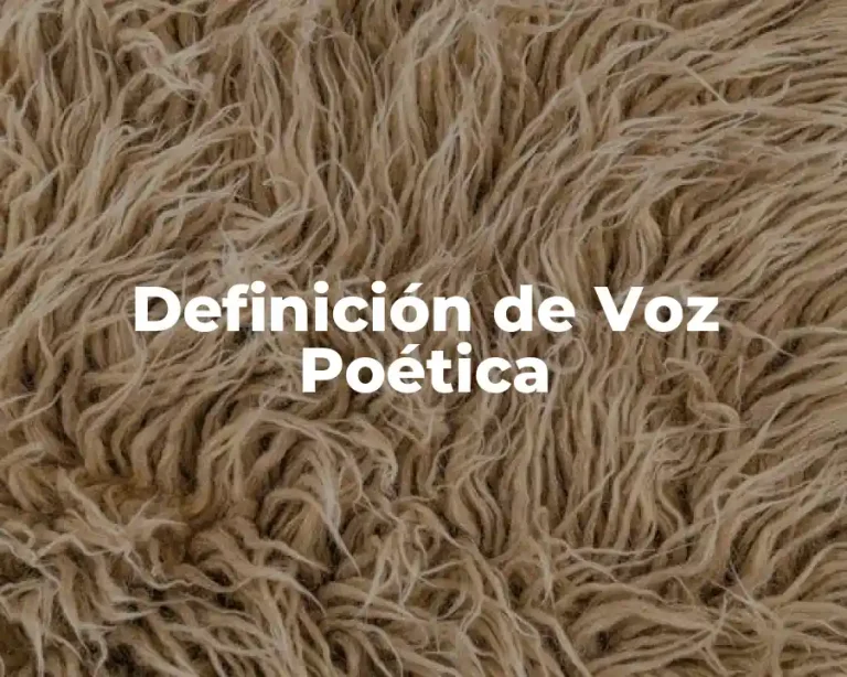 Definición de Voz Poética