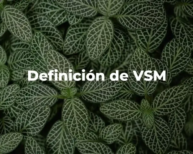 Definición de VSM