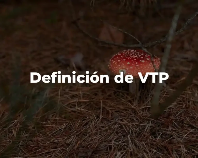 Definición de VTP