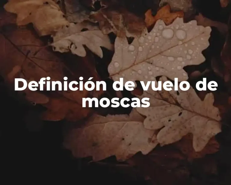 Definición de vuelo de moscas