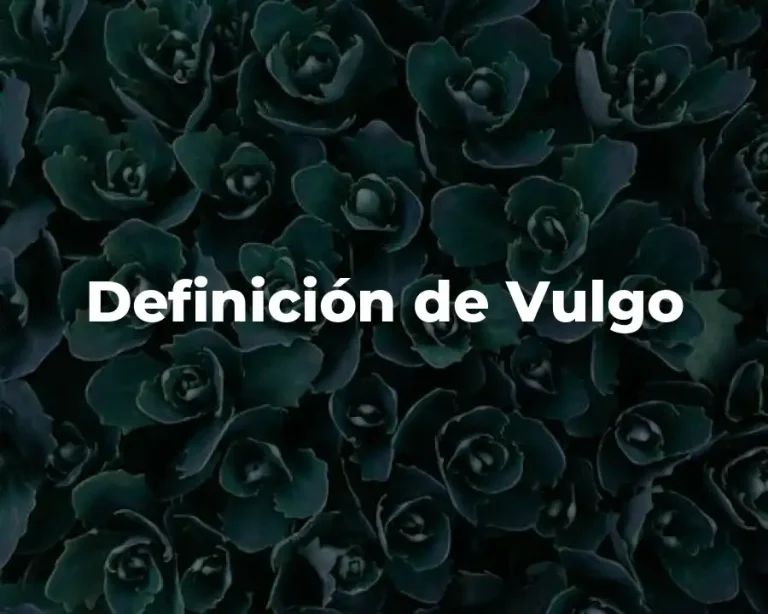 Definición de Vulgo