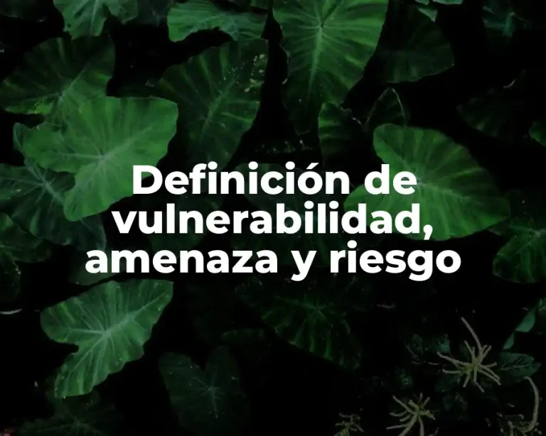Definición de vulnerabilidad, amenaza y riesgo