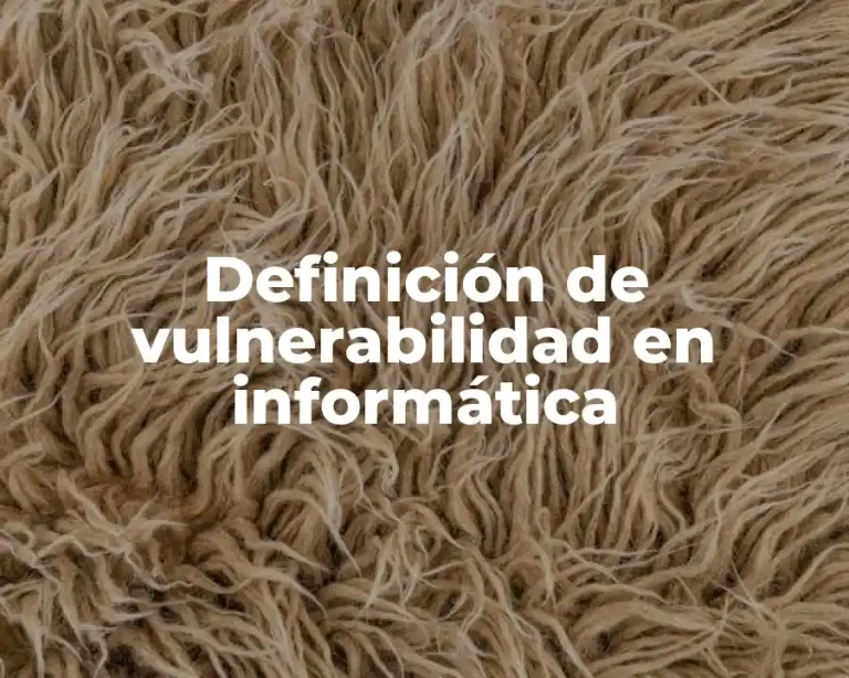 Definición de vulnerabilidad en informática