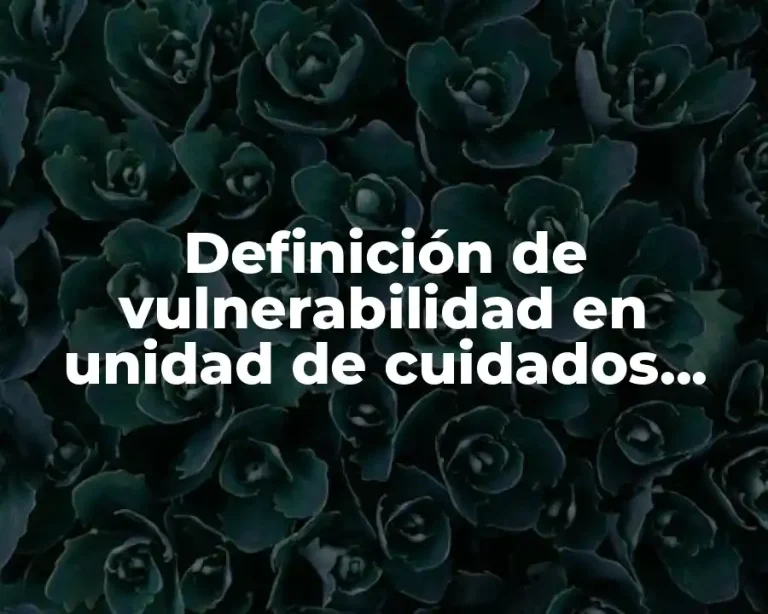 Definición de vulnerabilidad en unidad de cuidados intensivos