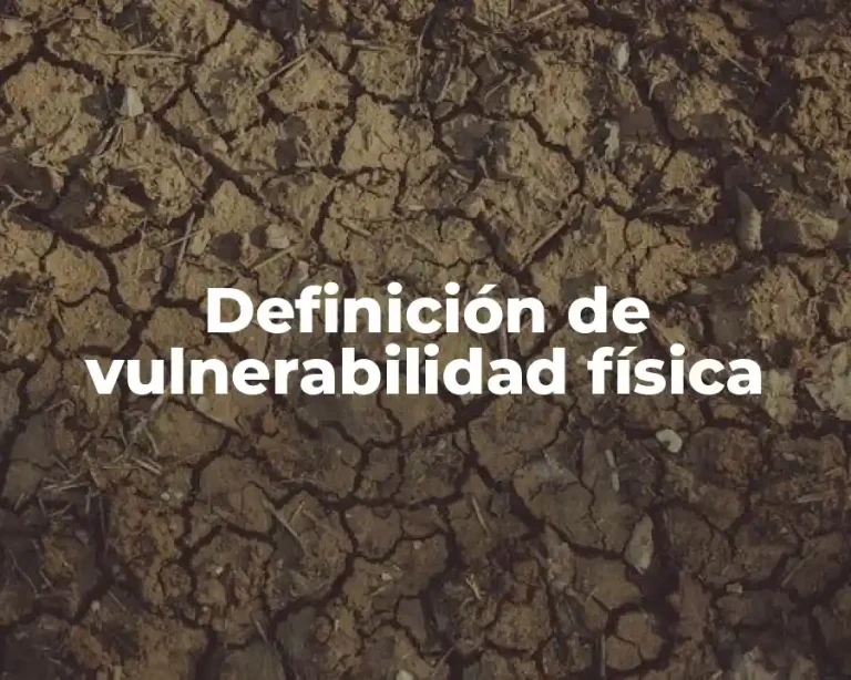 Definición de vulnerabilidad física