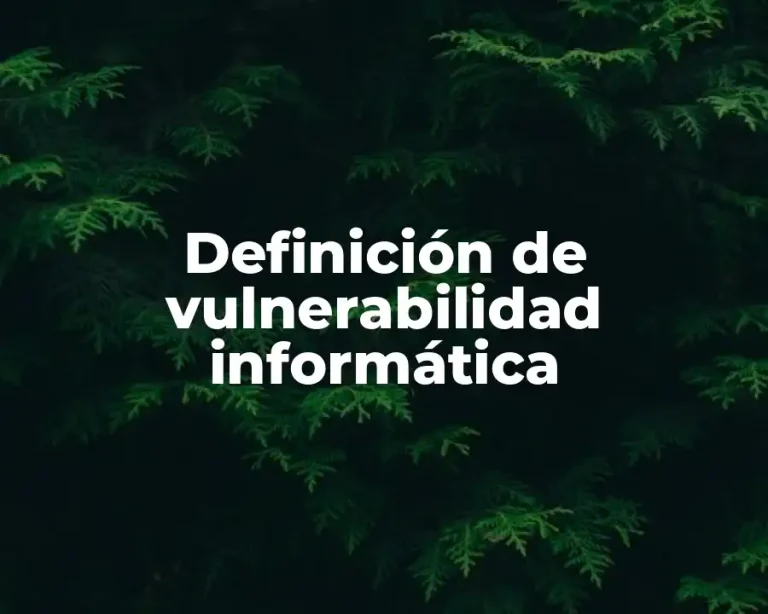 Definición de vulnerabilidad informática