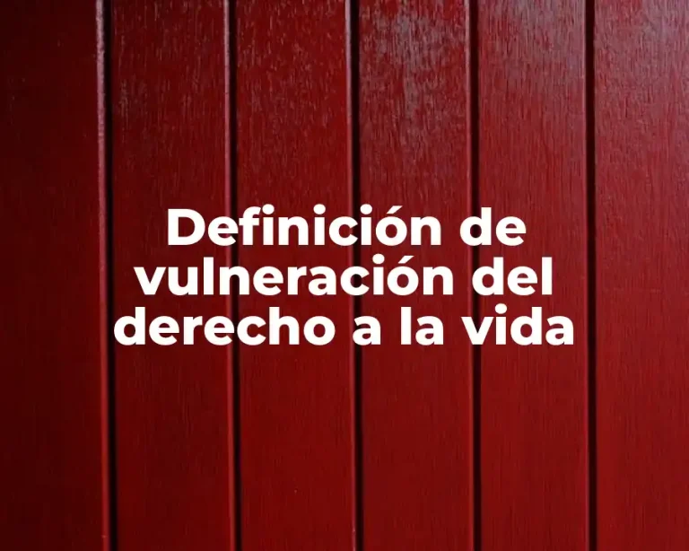 Definición de vulneración del derecho a la vida