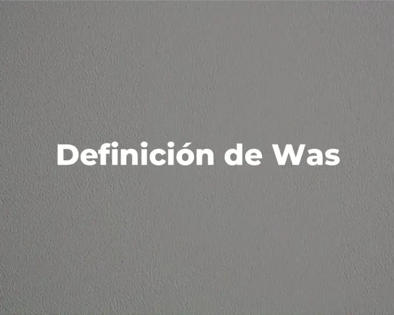 Definición de Was