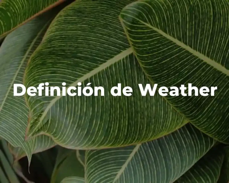 Definición de Weather