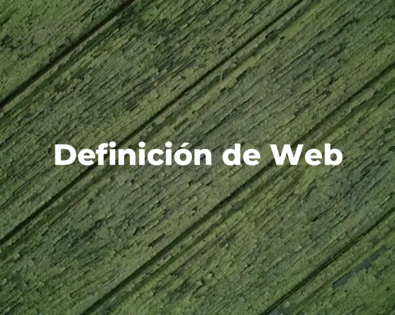 Definición de Web