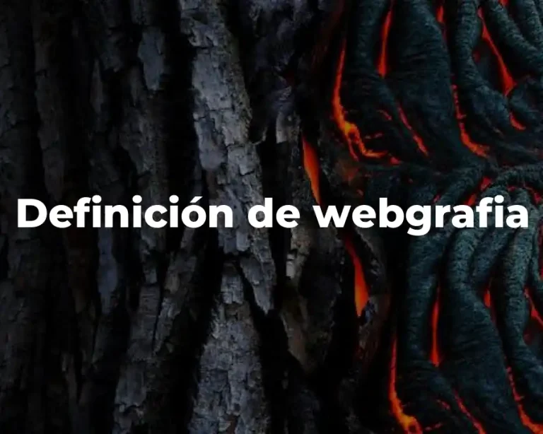 Definición de webgrafia