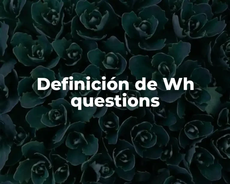 Definición de Wh questions
