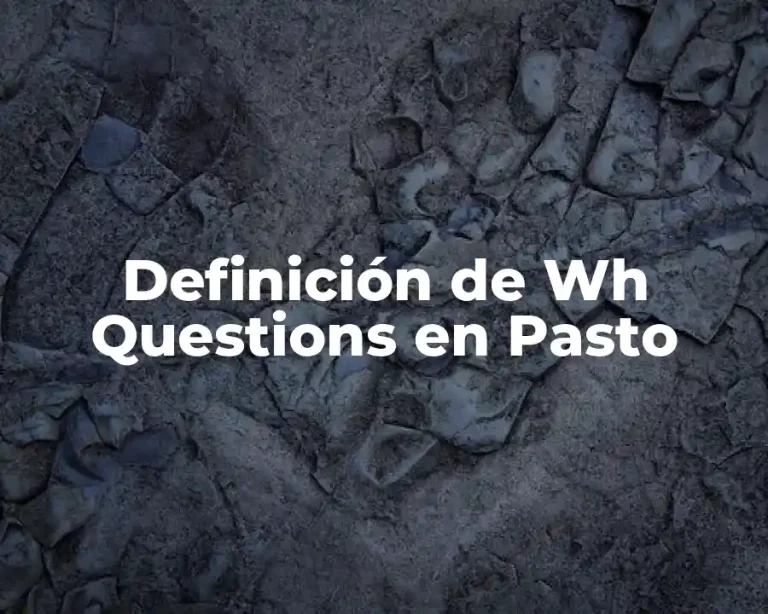 Definición de Wh Questions en Pasto
