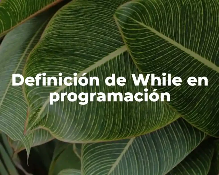 Definición de While en programación