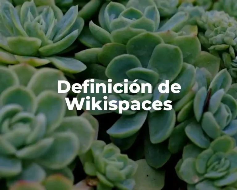 Definición de Wikispaces