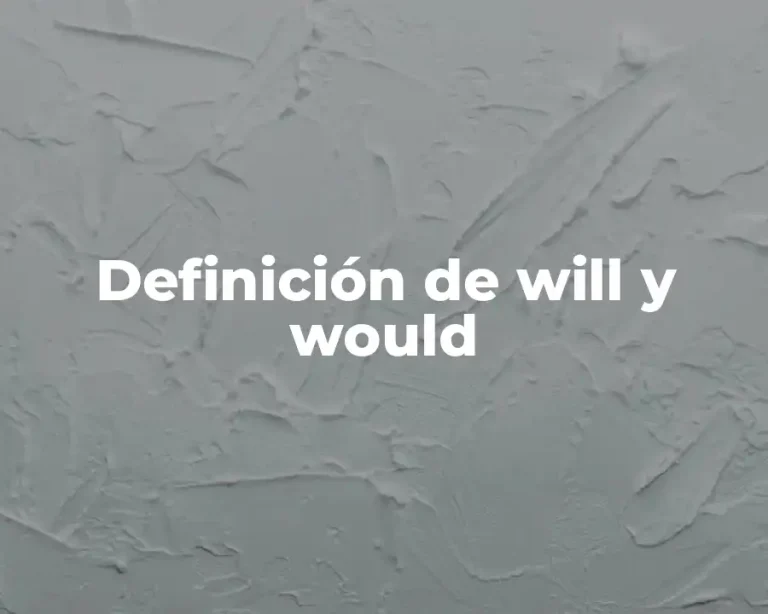 Definición de will y would