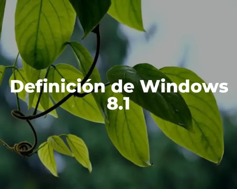 Definición de Windows 8.1
