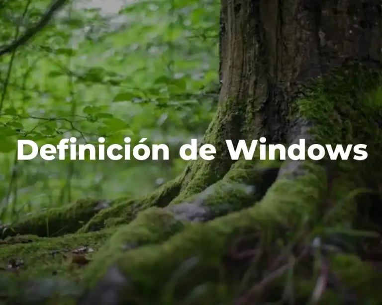 Definición de Windows