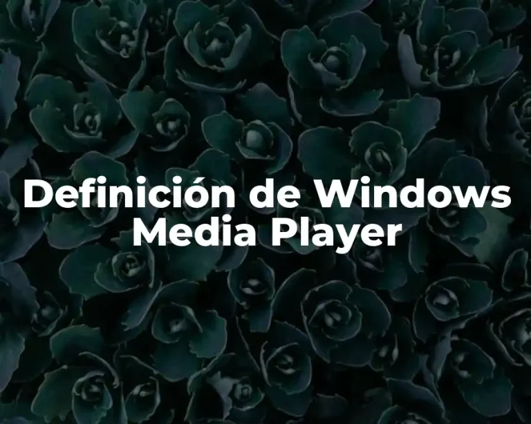 Definición de Windows Media Player