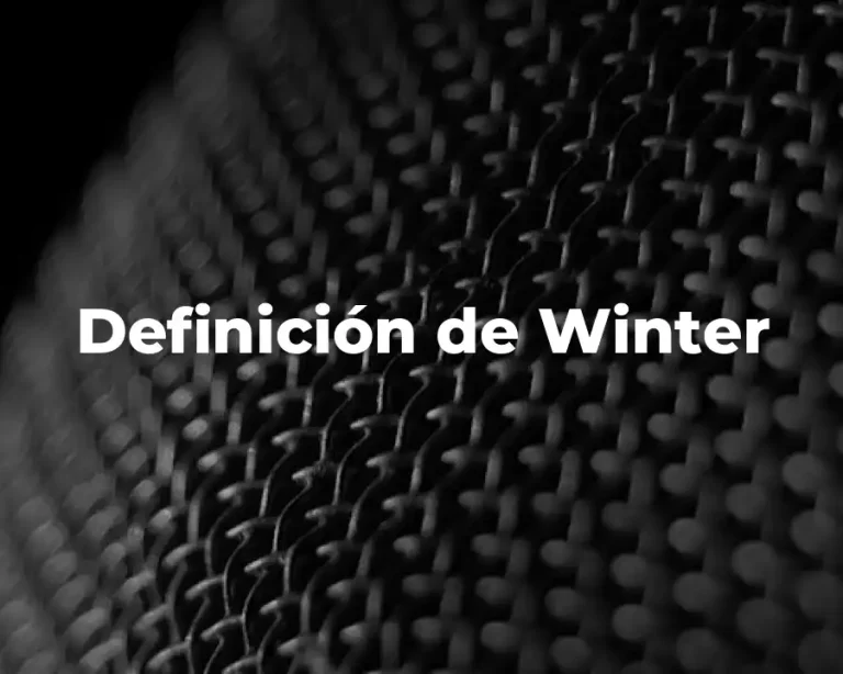 Definición de Winter