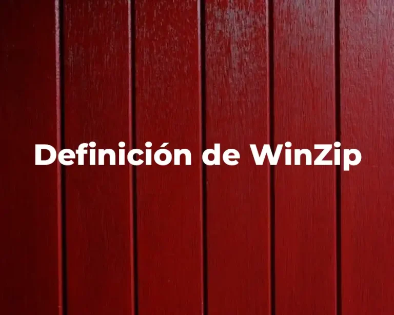 Definición de WinZip