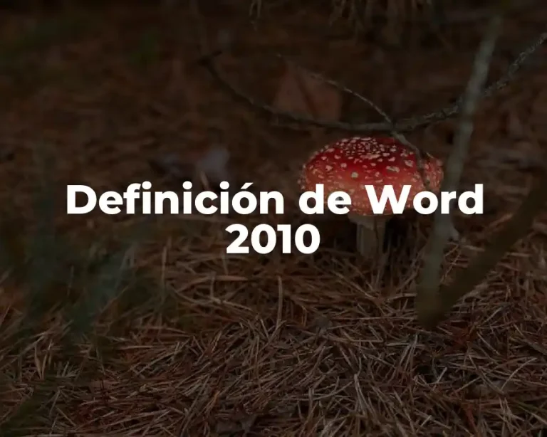 Definición de Word 2010