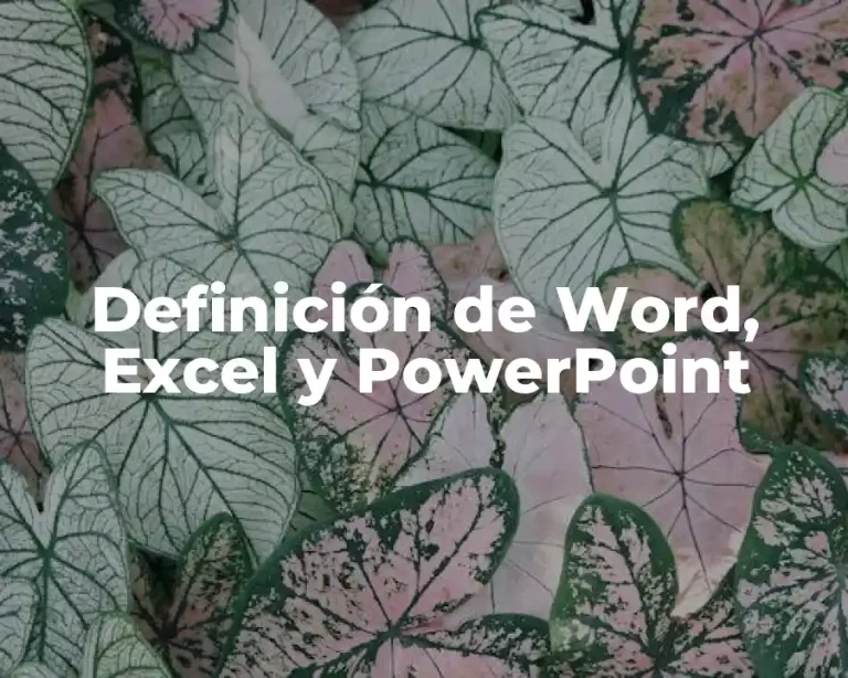 Definición de Word, Excel y PowerPoint
