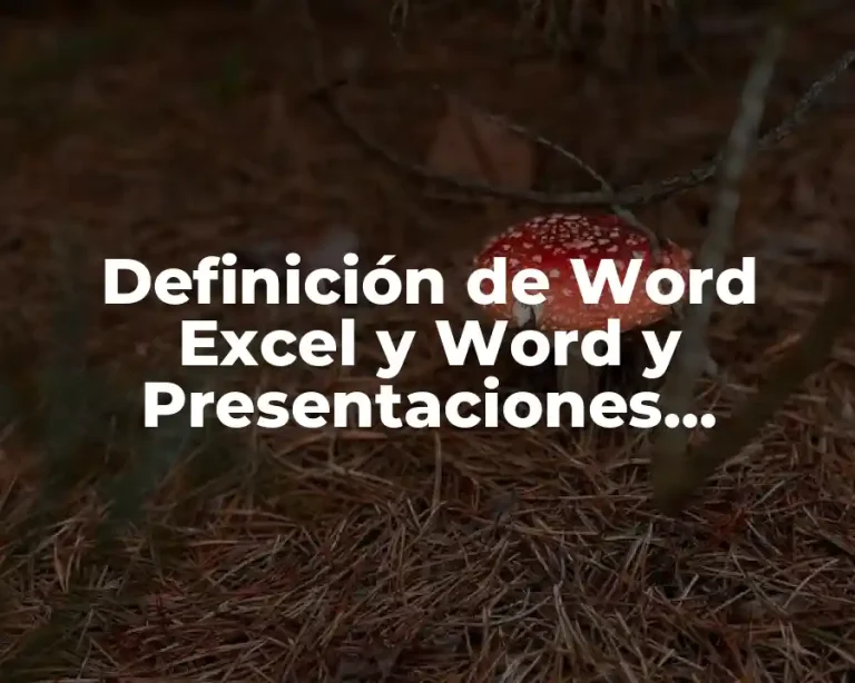 Definición de Word Excel y Word y Presentaciones Digitales