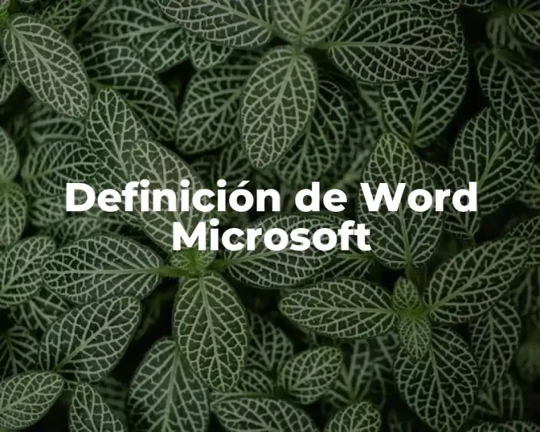 Definición de Word Microsoft
