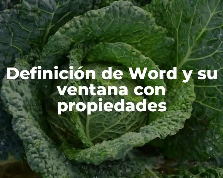 Definición de Word y su ventana con propiedades