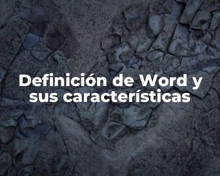 Definición de Word y sus características