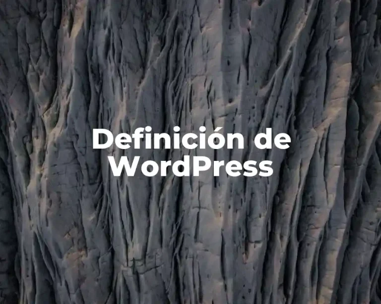Definición de WordPress