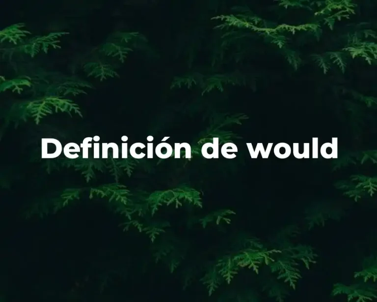 Definición de would