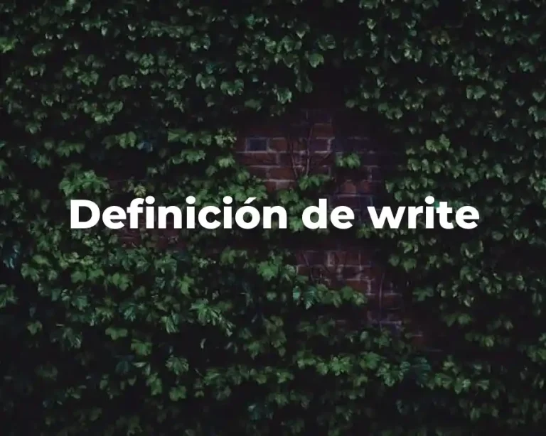 Definición de write