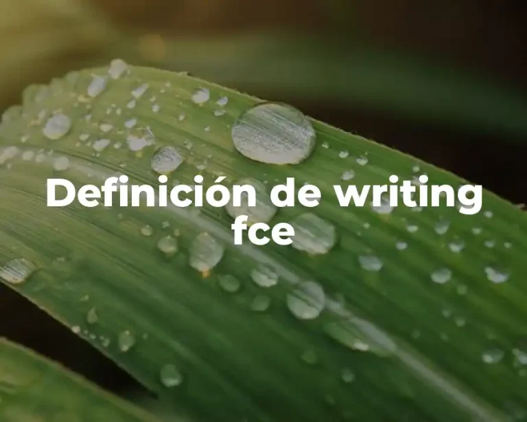 Definición de writing fce