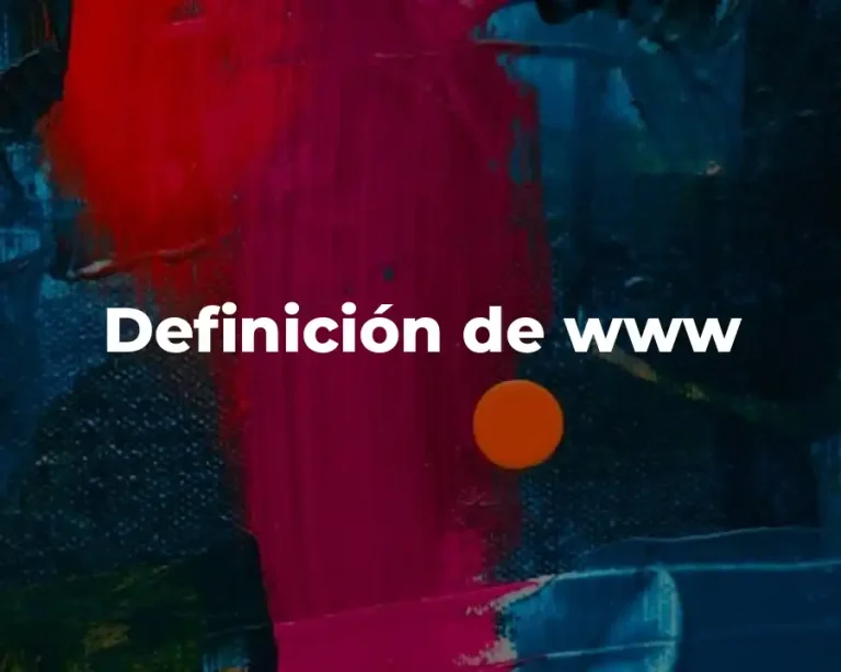 Definición de www