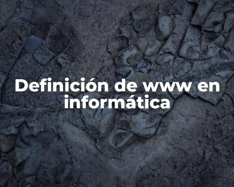 Definición de www en informática