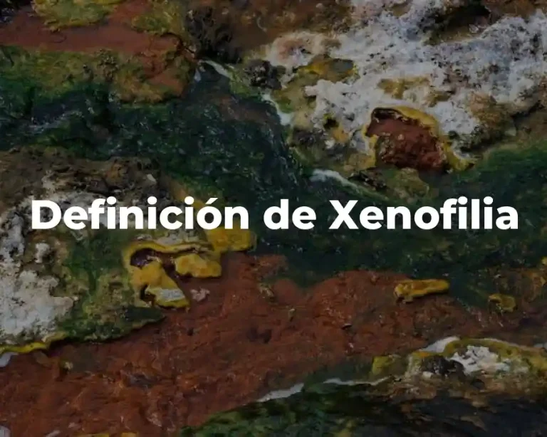 Definición de Xenofilia