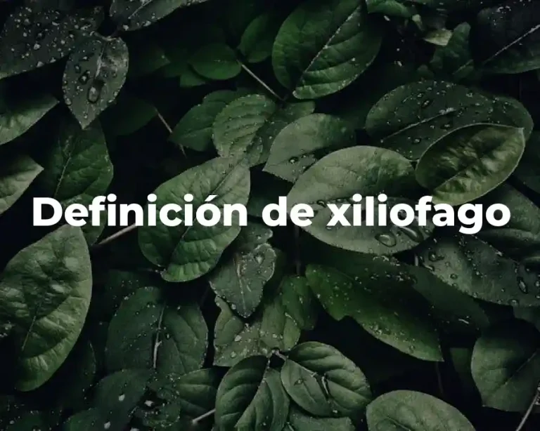 Definición de xiliofago