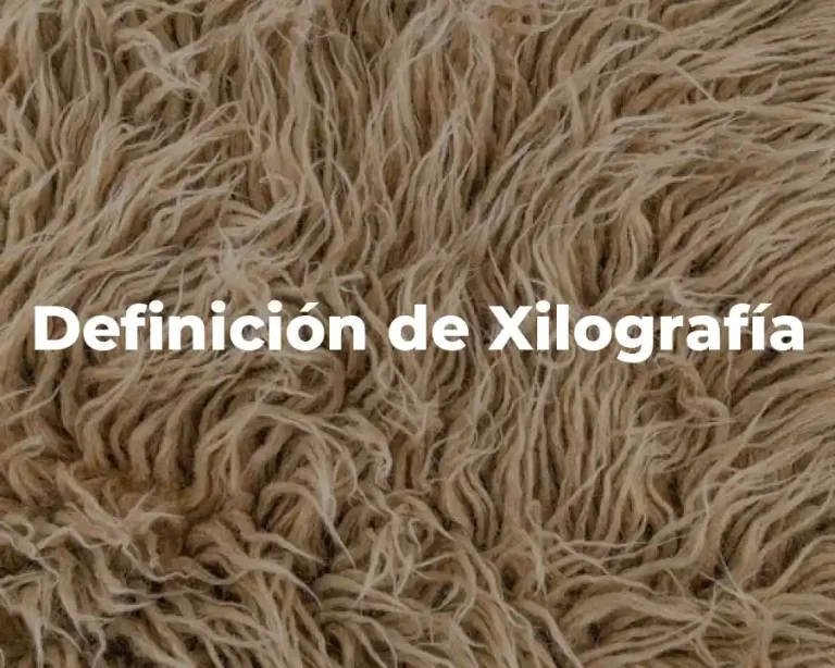 Definición de Xilografía