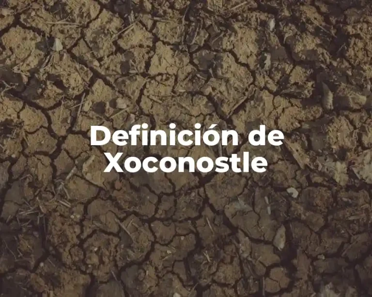 Definición de Xoconostle