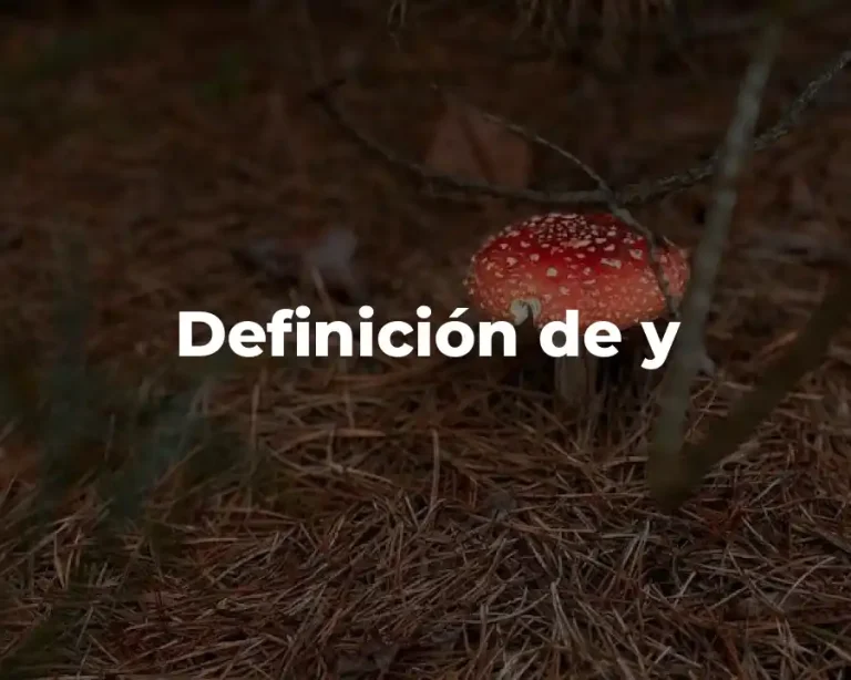 Definición de y