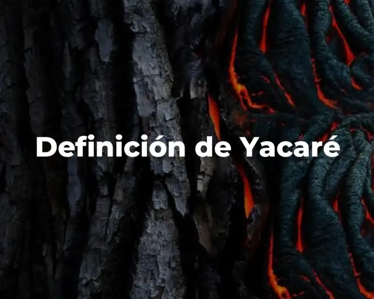 Definición de Yacaré
