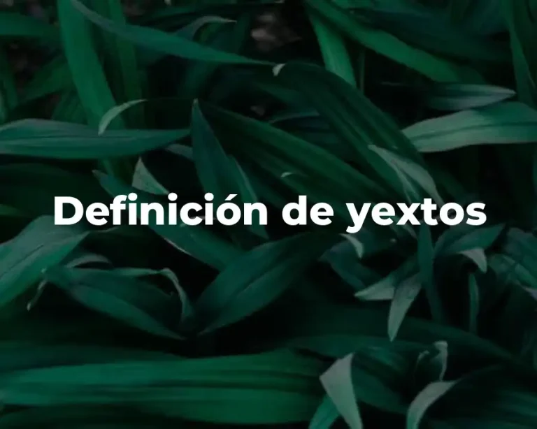 Definición de yextos