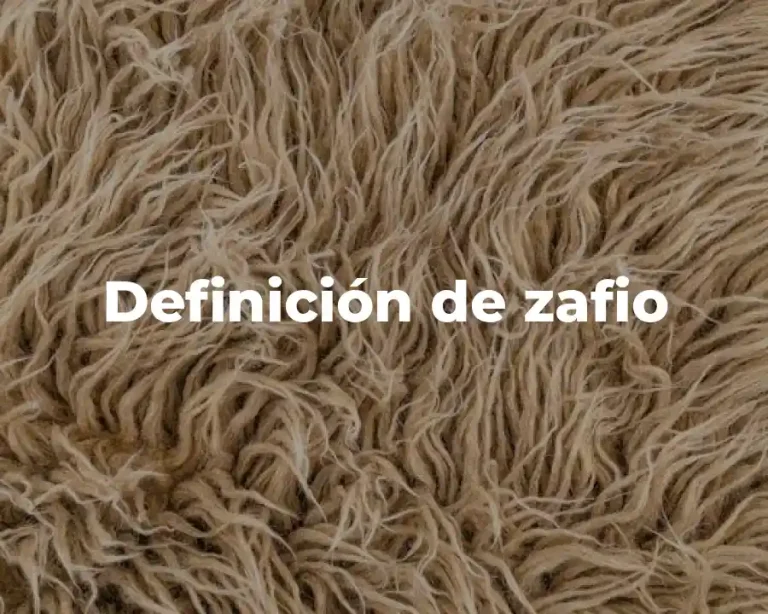 Definición de zafio