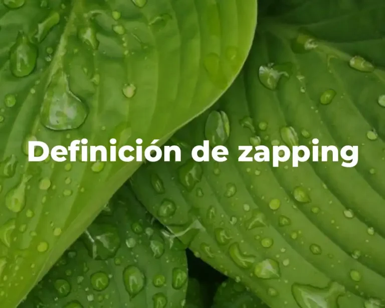 Definición de zapping