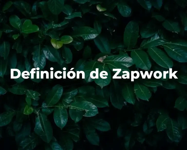 Definición de Zapwork