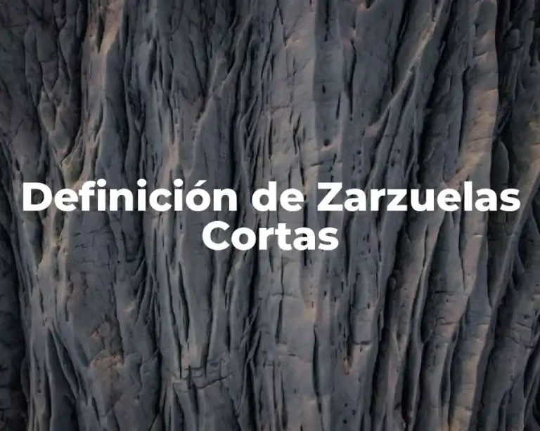 Definición de Zarzuelas Cortas