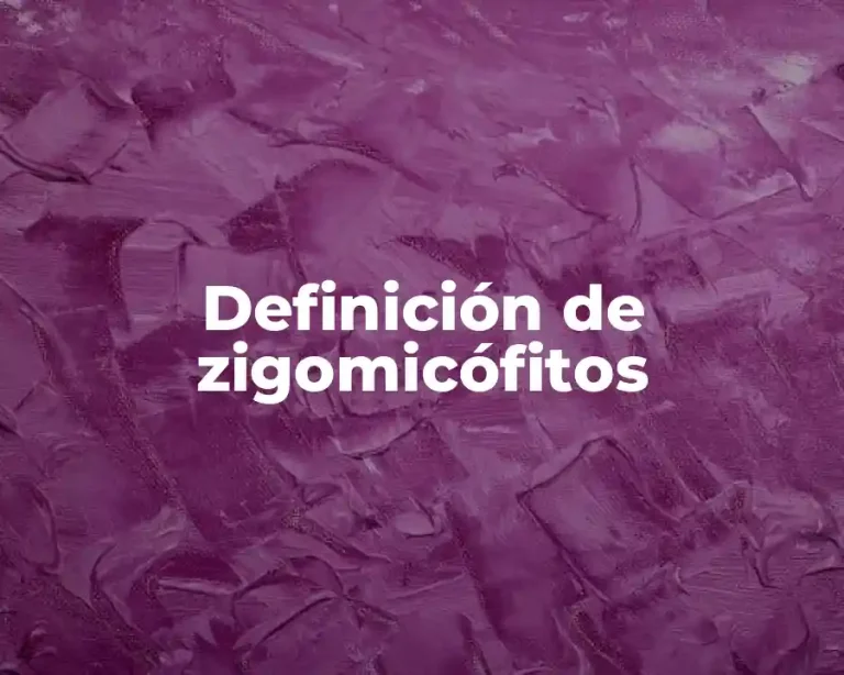Definición de zigomicófitos